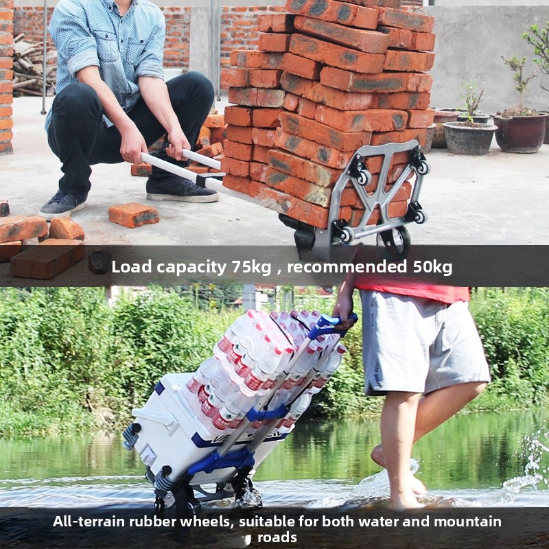 Portable Folding Hand-Pulled C - Pull Cart Fold reseña y precio